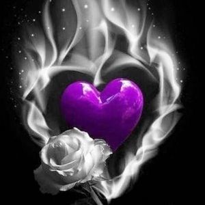 Meet your Posher, Rose